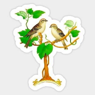 Birds on the tree branch Sticker